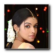 Asin-Gallery